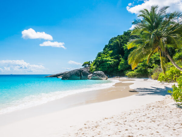 Inilah Sahabat Nabi yang Malaikat Jibril Sering Menyerupainya